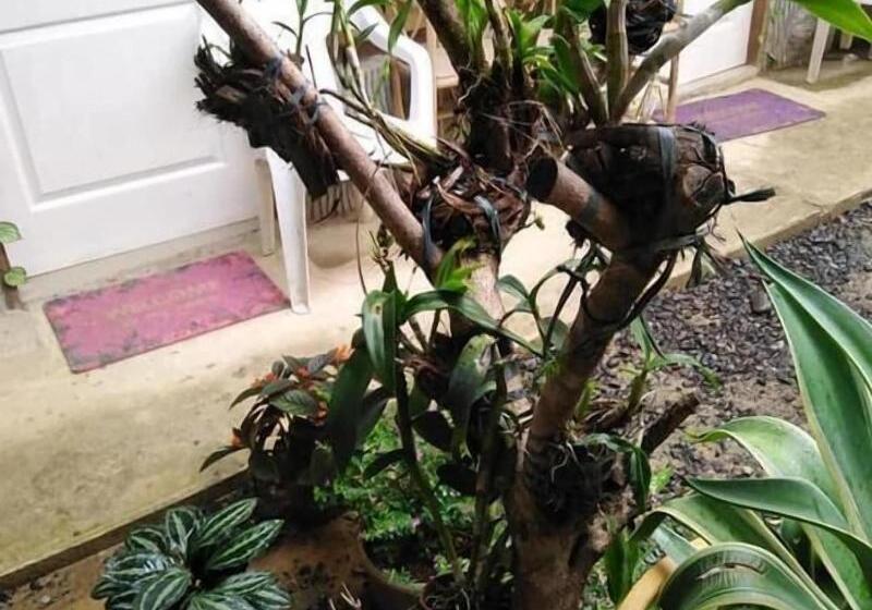 בית מלון כפרי Garden View Inn