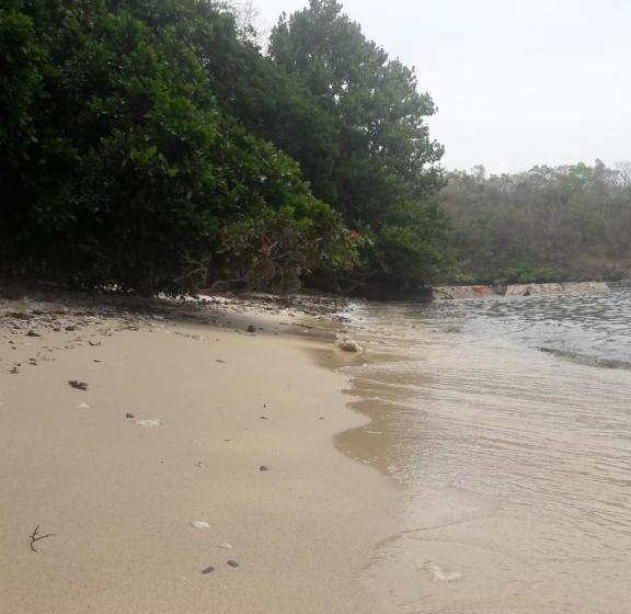 Sand Bar Beach Resort