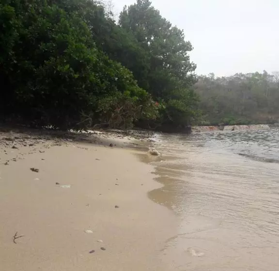 Sand Bar Beach Resort