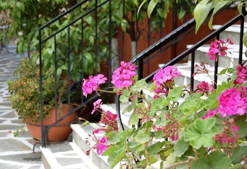 בית מלון כפרי Villa Marie