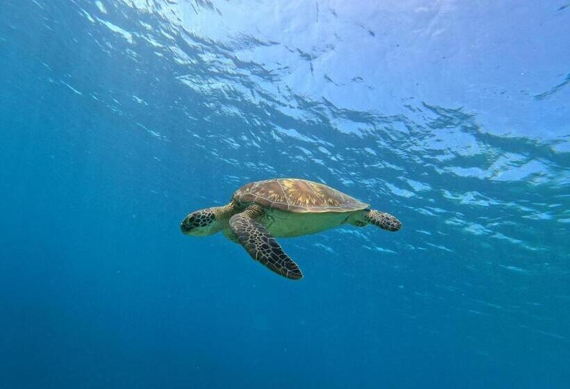 پانسیون Biosphere Inn