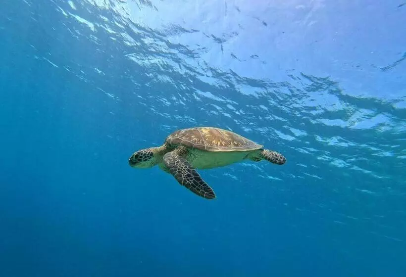 پانسیون Biosphere Inn