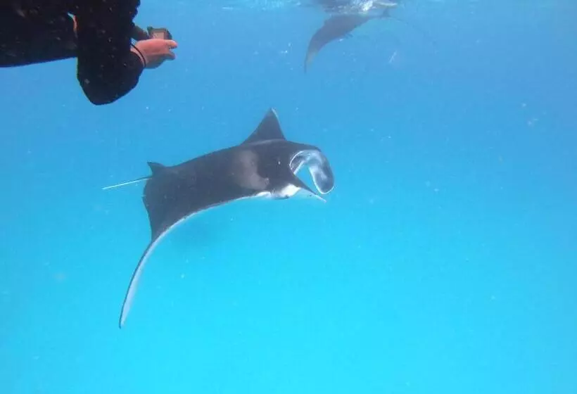 پانسیون Biosphere Inn