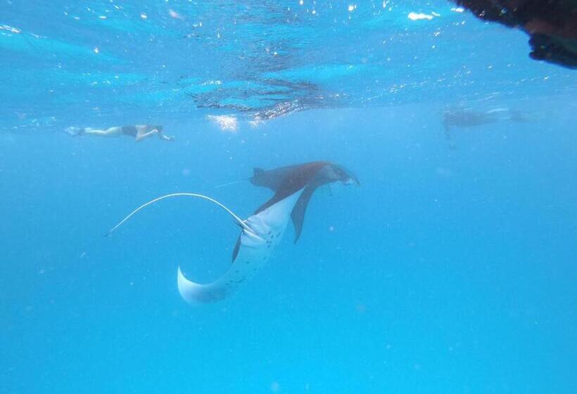 پانسیون Biosphere Inn