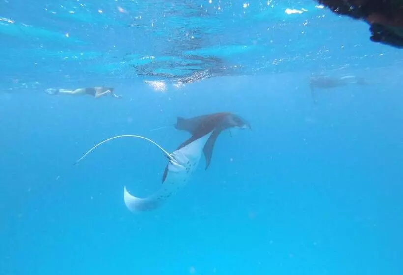 پانسیون Biosphere Inn