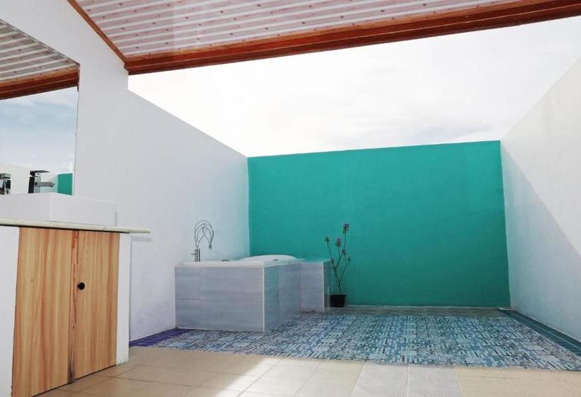 پانسیون Zinnia Maafushi