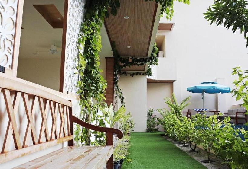 پانسیون Zinnia Maafushi