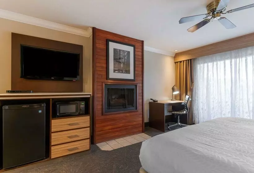 ホテル Best Western Plus Forest Park Inn