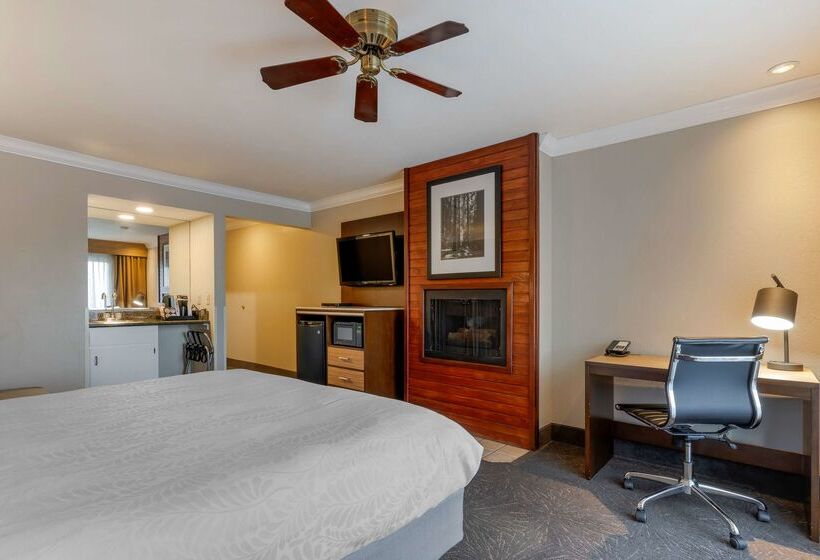 酒店 Best Western Plus Forest Park Inn