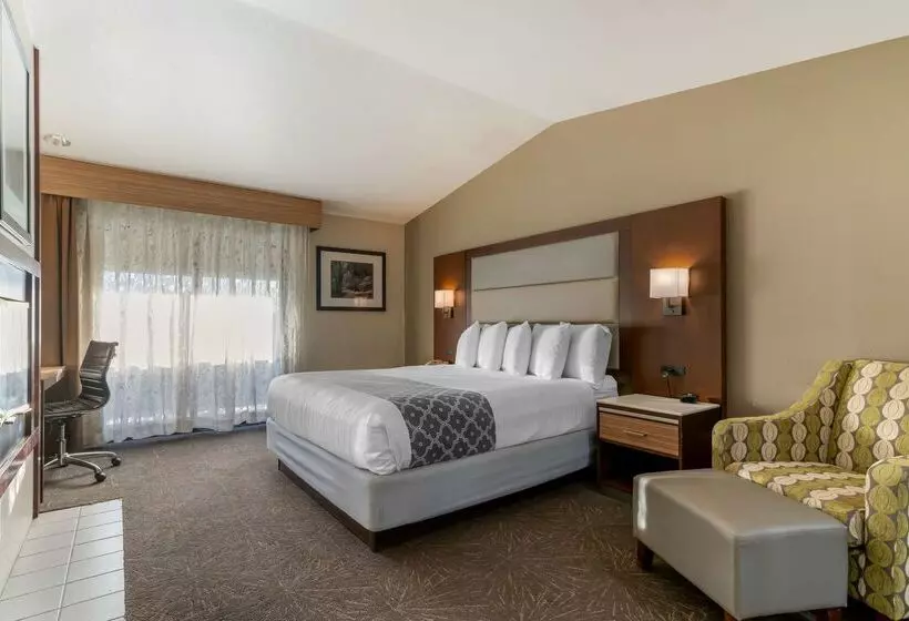 ホテル Best Western Plus Forest Park Inn