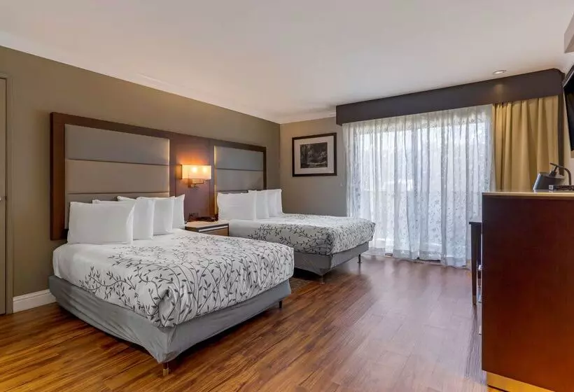 ホテル Best Western Plus Forest Park Inn