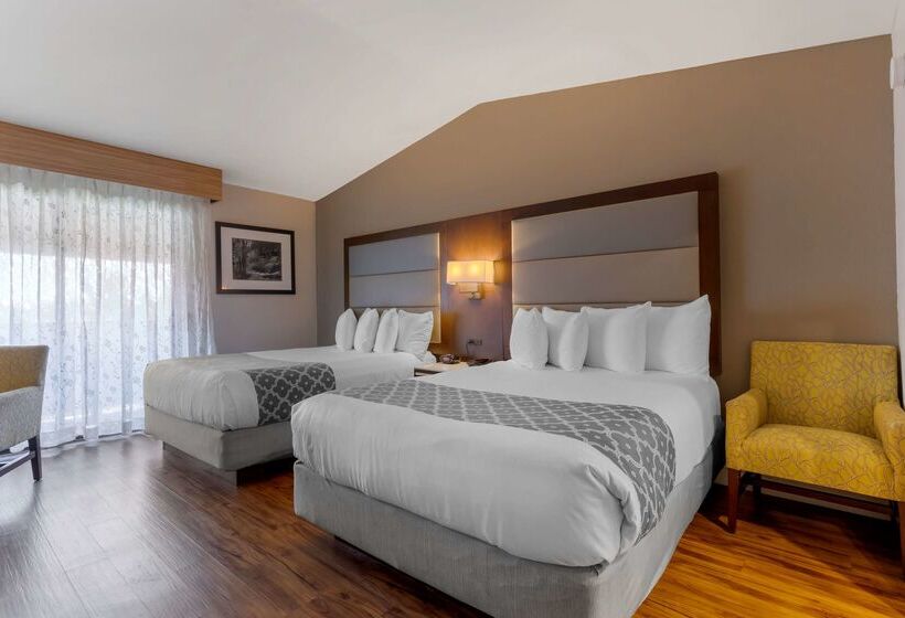 酒店 Best Western Plus Forest Park Inn