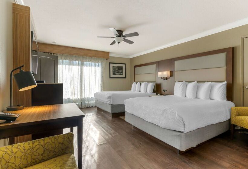 酒店 Best Western Plus Forest Park Inn