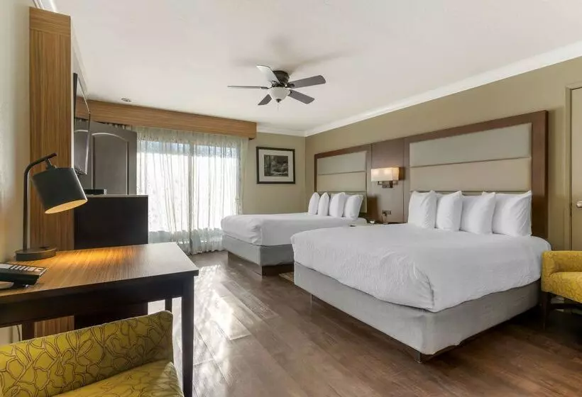 ホテル Best Western Plus Forest Park Inn