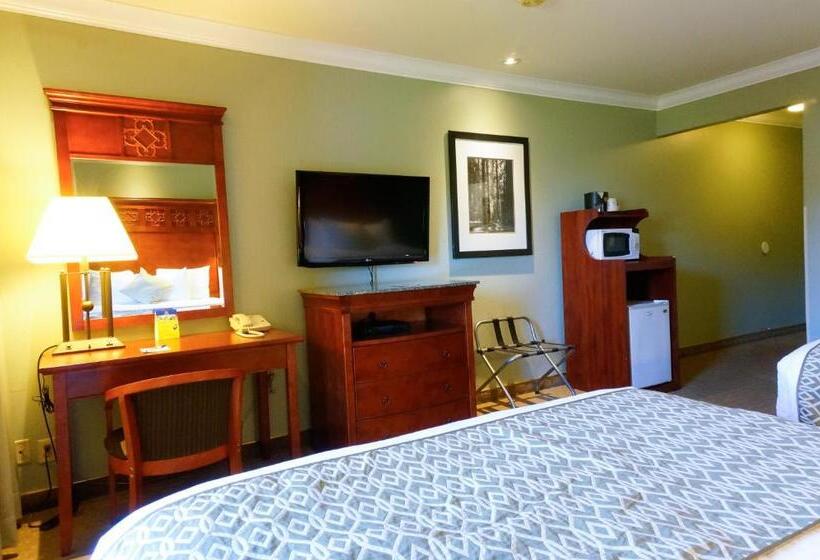 酒店 Best Western Plus Forest Park Inn