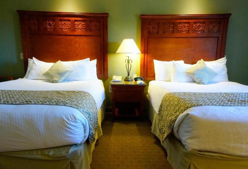 酒店 Best Western Plus Forest Park Inn