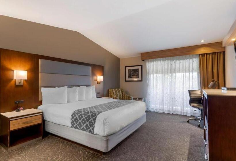 酒店 Best Western Plus Forest Park Inn