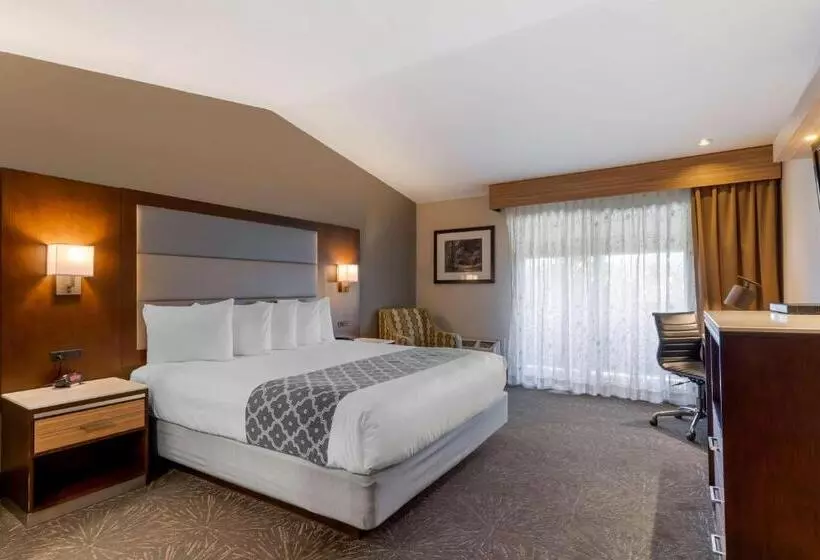 ホテル Best Western Plus Forest Park Inn