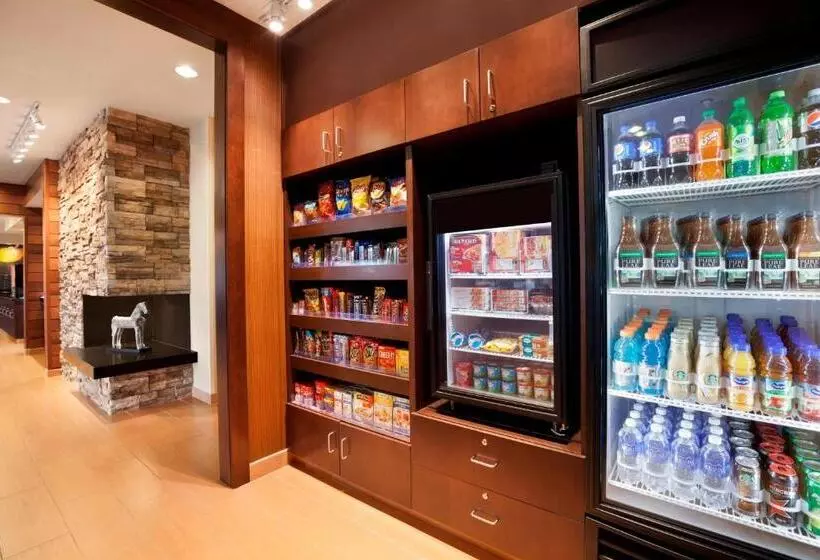 Отель Fairfield Inn & Suites Lansing West