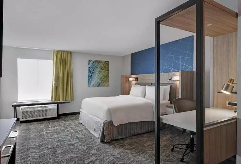 酒店 Springhill Suites By Marriott Palm Desert