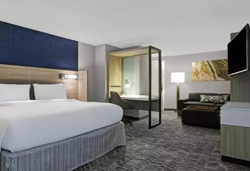 酒店 Springhill Suites By Marriott Palm Desert