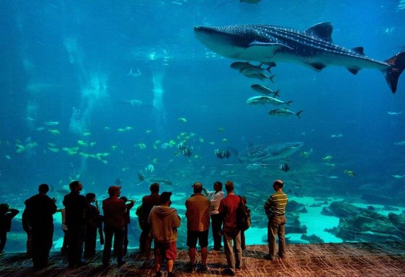 هتل The Georgian Terrace