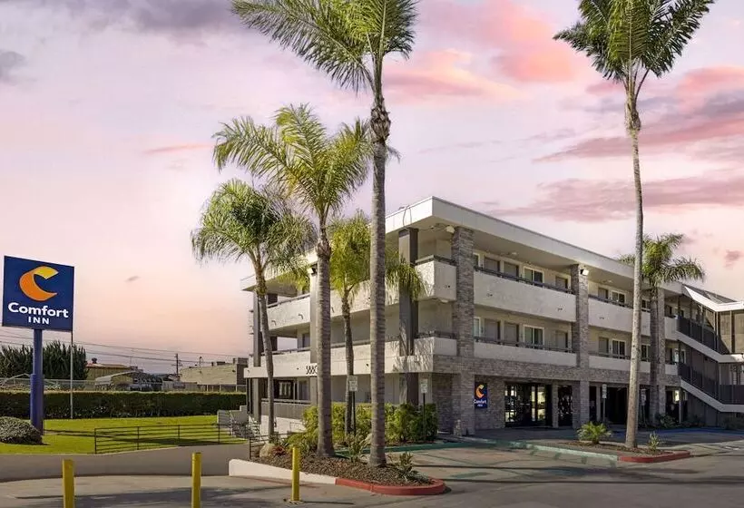 酒店 Comfort Inn Sea World Area