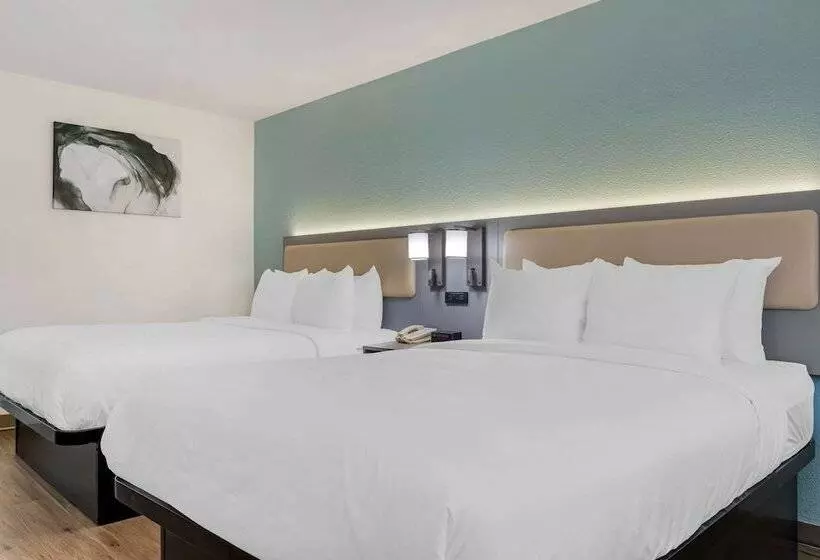 酒店 Comfort Inn Sea World Area