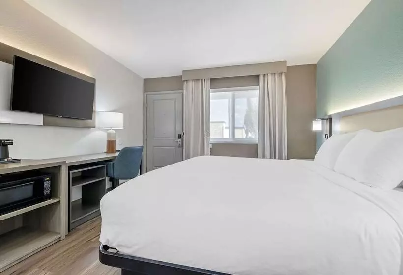 酒店 Comfort Inn Sea World Area