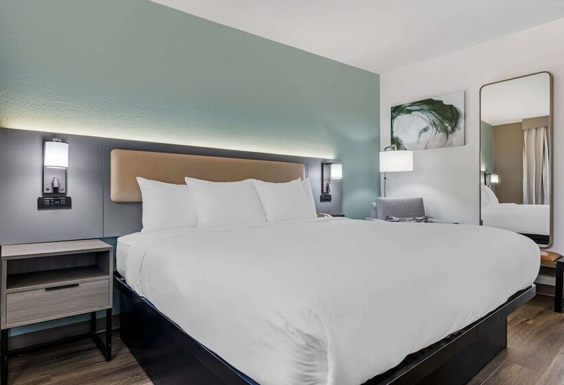 فندق Comfort Inn Sea World Area