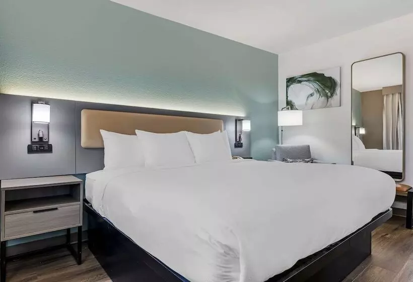 酒店 Comfort Inn Sea World Area