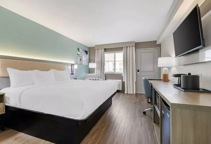 酒店 Comfort Inn Sea World Area