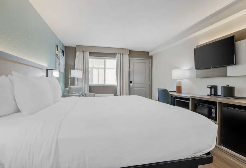 فندق Comfort Inn Sea World Area