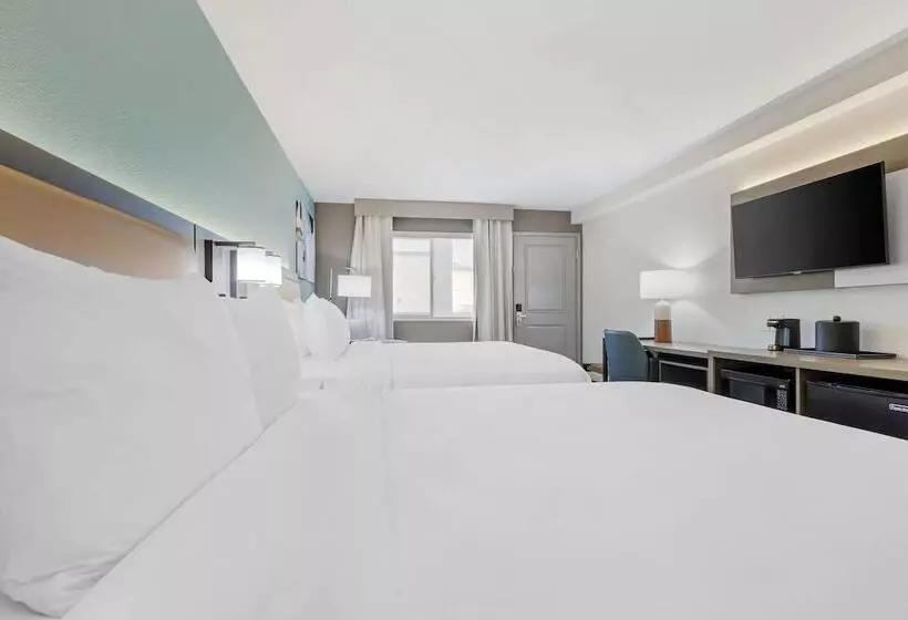 酒店 Comfort Inn Sea World Area