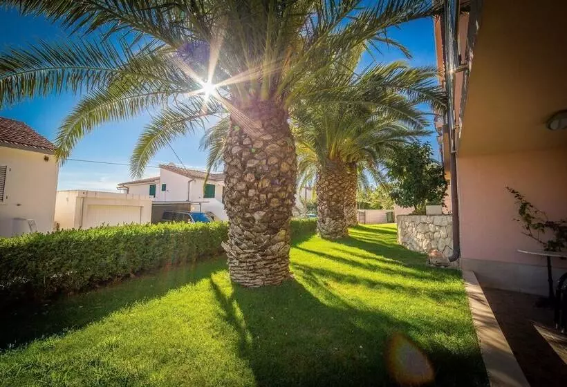 Apartments The Palms