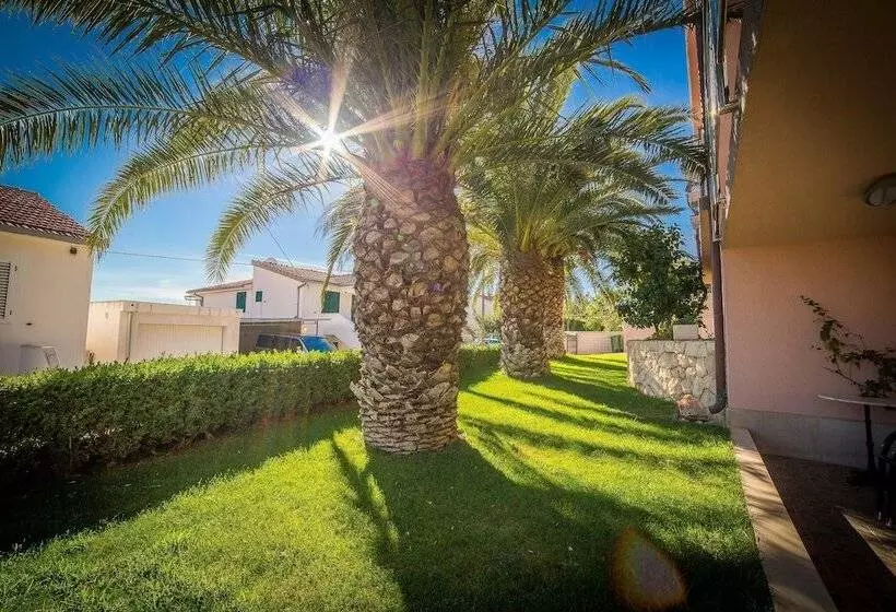 Apartments The Palms