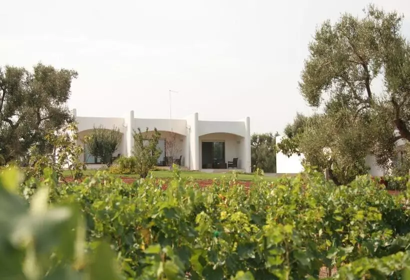 B&b La Vigna