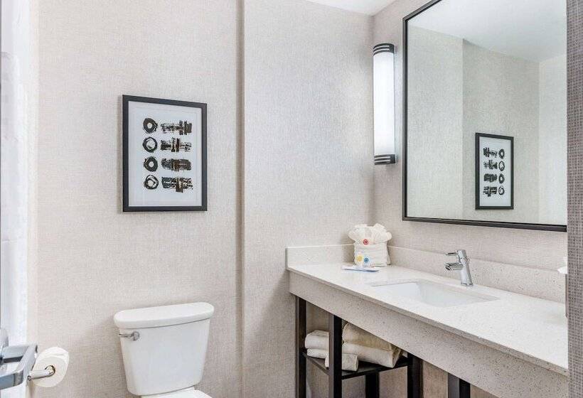 Comfort Inn & Suites Miami International Airport