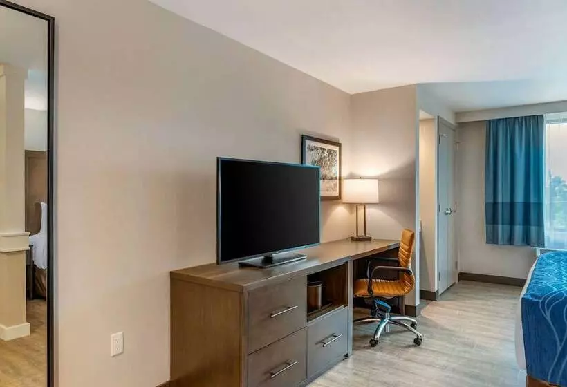 Comfort Inn & Suites Miami International Airport