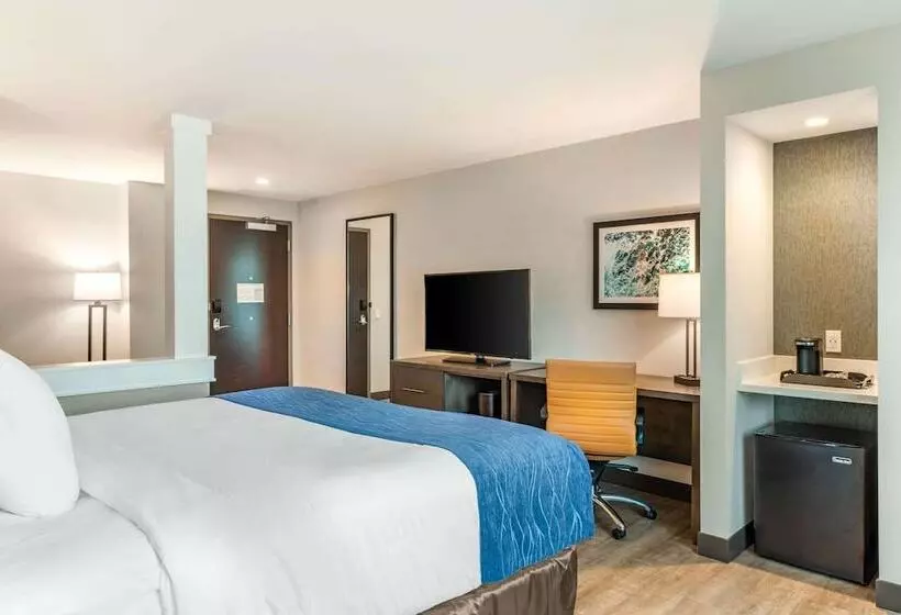Comfort Inn & Suites Miami International Airport