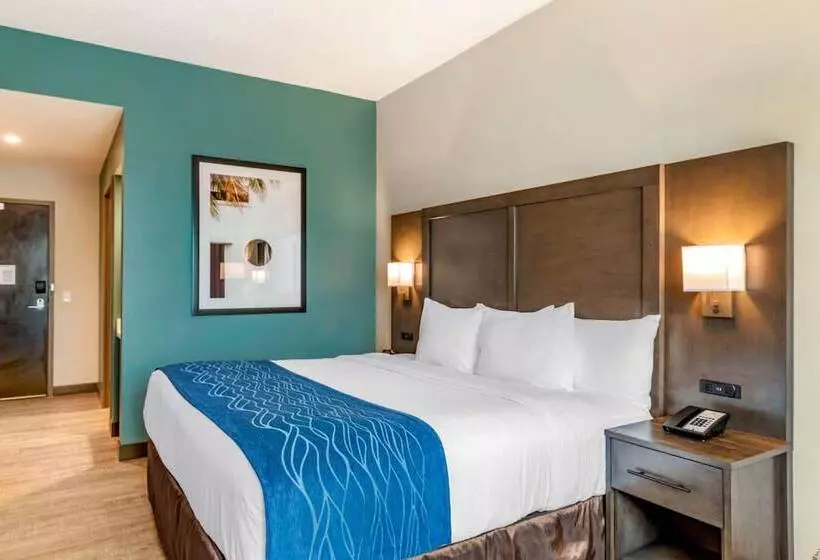 Comfort Inn & Suites Miami International Airport