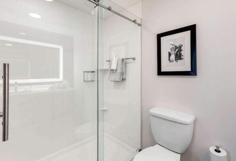 هتل Cambria Downtown Phoenix Convention & Airport