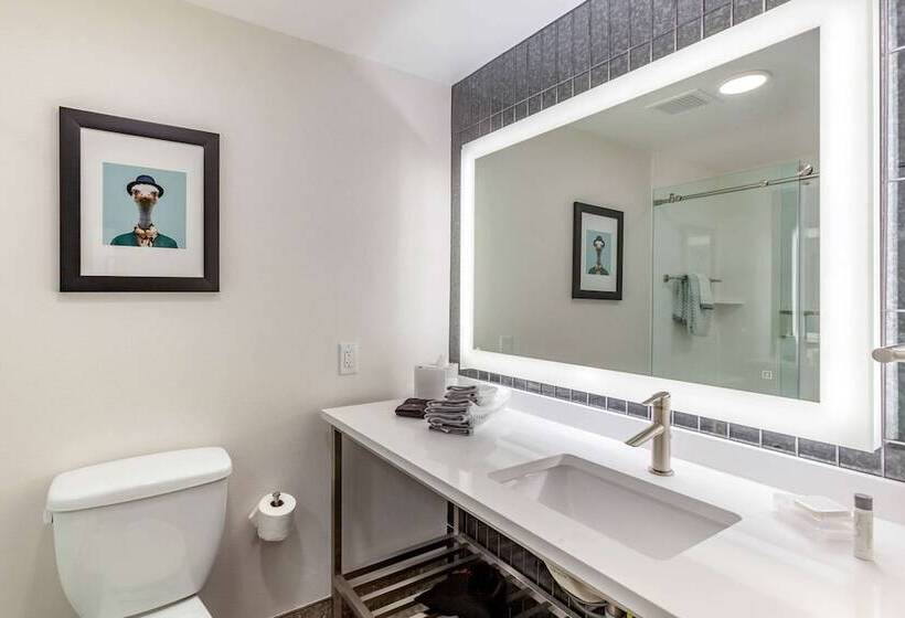 هتل Cambria Downtown Phoenix Convention & Airport