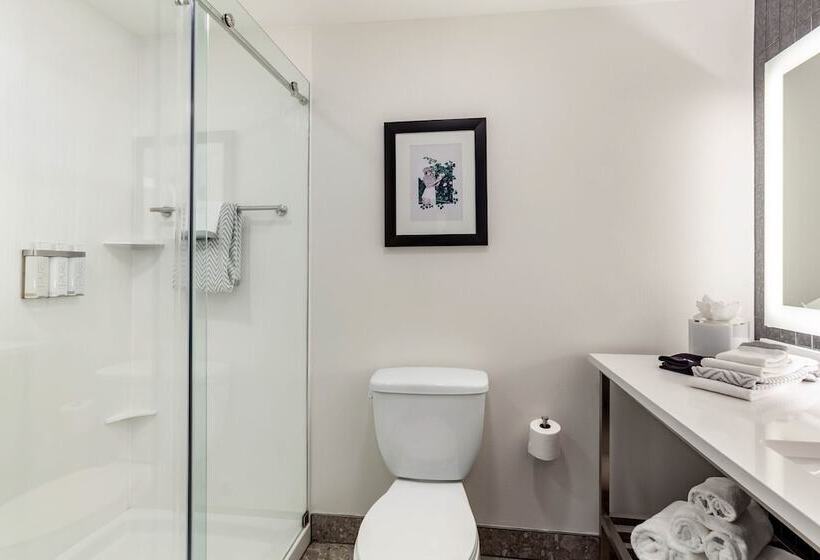 هتل Cambria Downtown Phoenix Convention & Airport