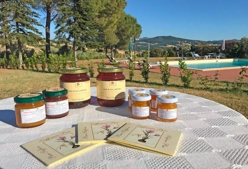 田舎風ホテル Agriturismo L'imposto