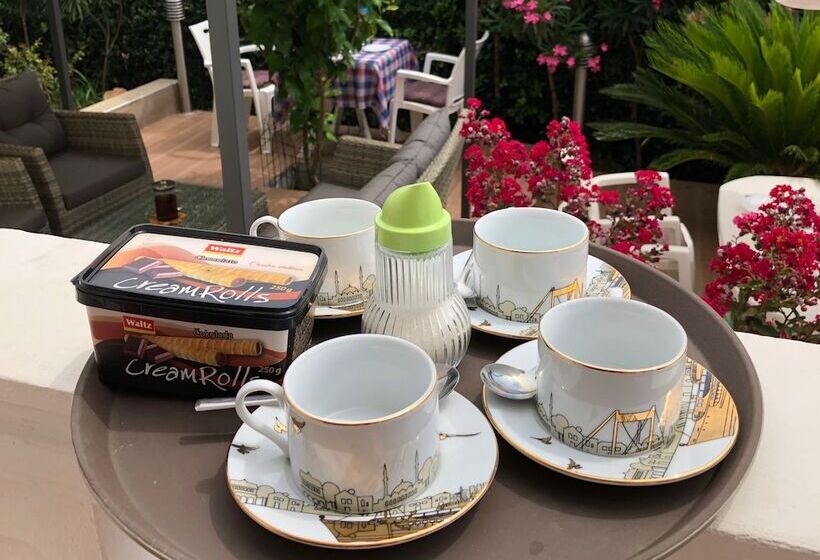 پانسیون Axenia