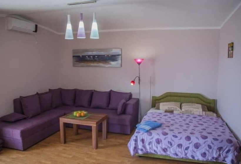 پانسیون Axenia