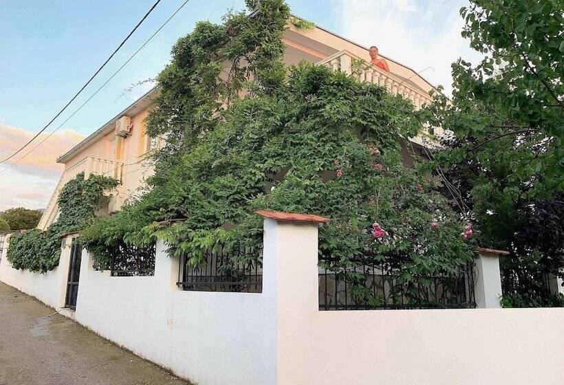 پانسیون Axenia