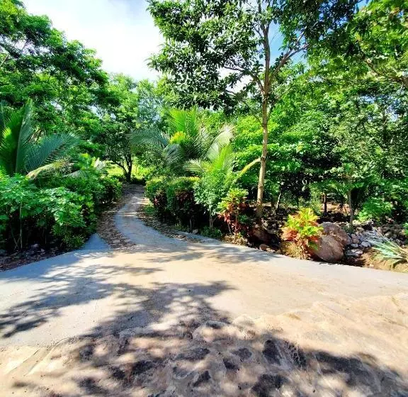 هتل The Jungle
