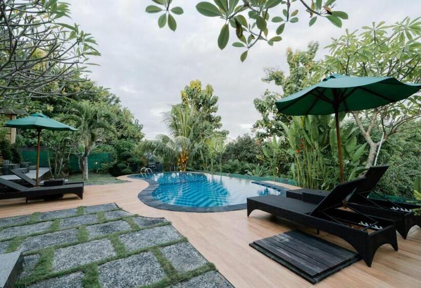 旅馆 Arunika Cottage